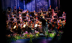 Summer Concert of the Vanemuine Symphony Orchestra 2024